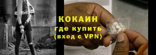 соль ск Алексин