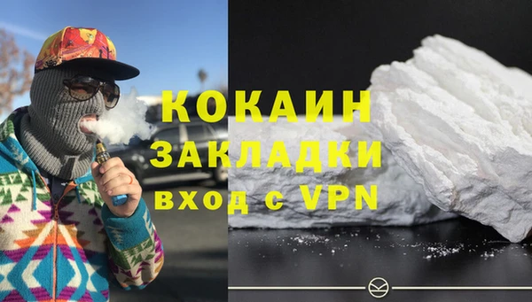соль ск Алексин