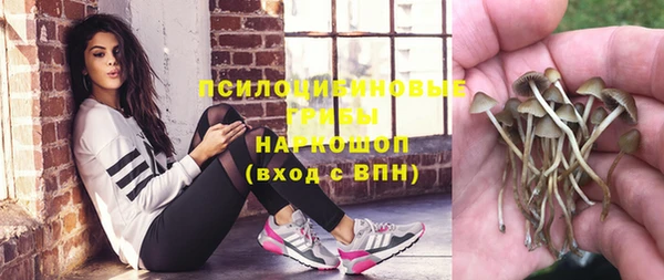 дмт Алзамай