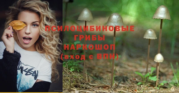 соль ск Алексин