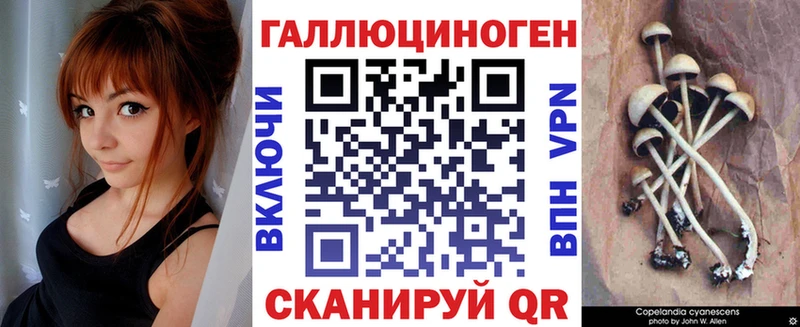 где продают Петрозаводск Псилоцибиновые грибы мухоморы